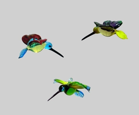 Kolibri Tina